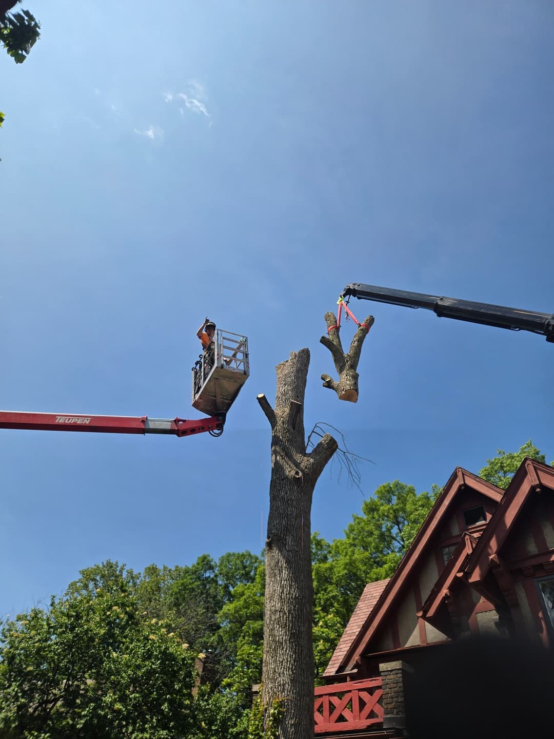 Tree removal in progress with workers using a crane and cherry picker under a clear blue sky.