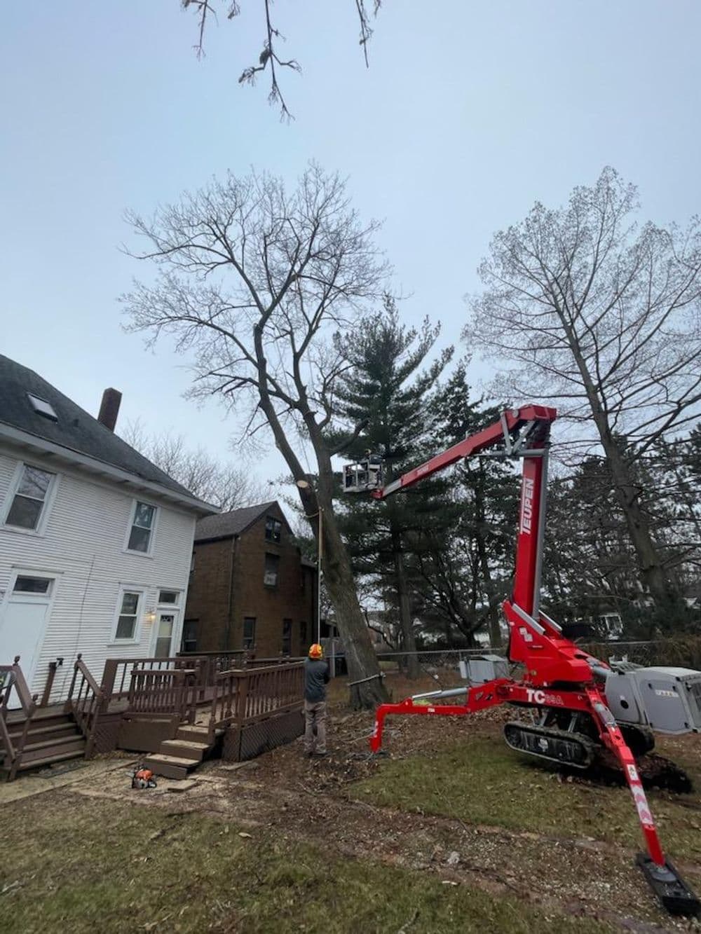 Worker using a cherry picker to trim a tall tree near residential homes.