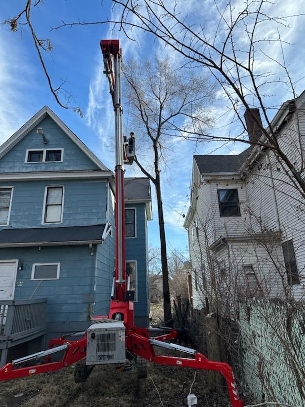 Red cherry picker next to houses, reaching up to trim trees against a blue sky.