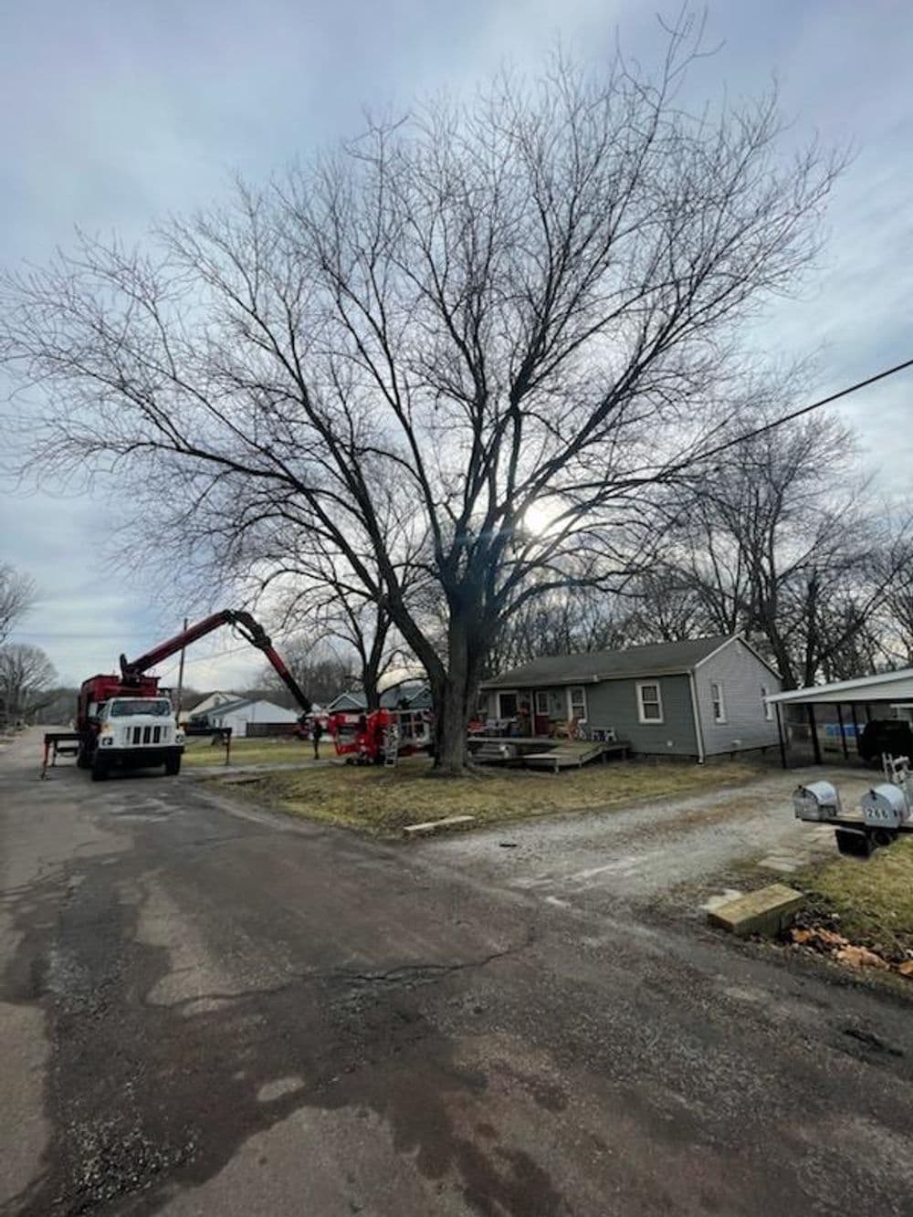 Tree removal process with heavy equipment near a residential home on a cloudy day.