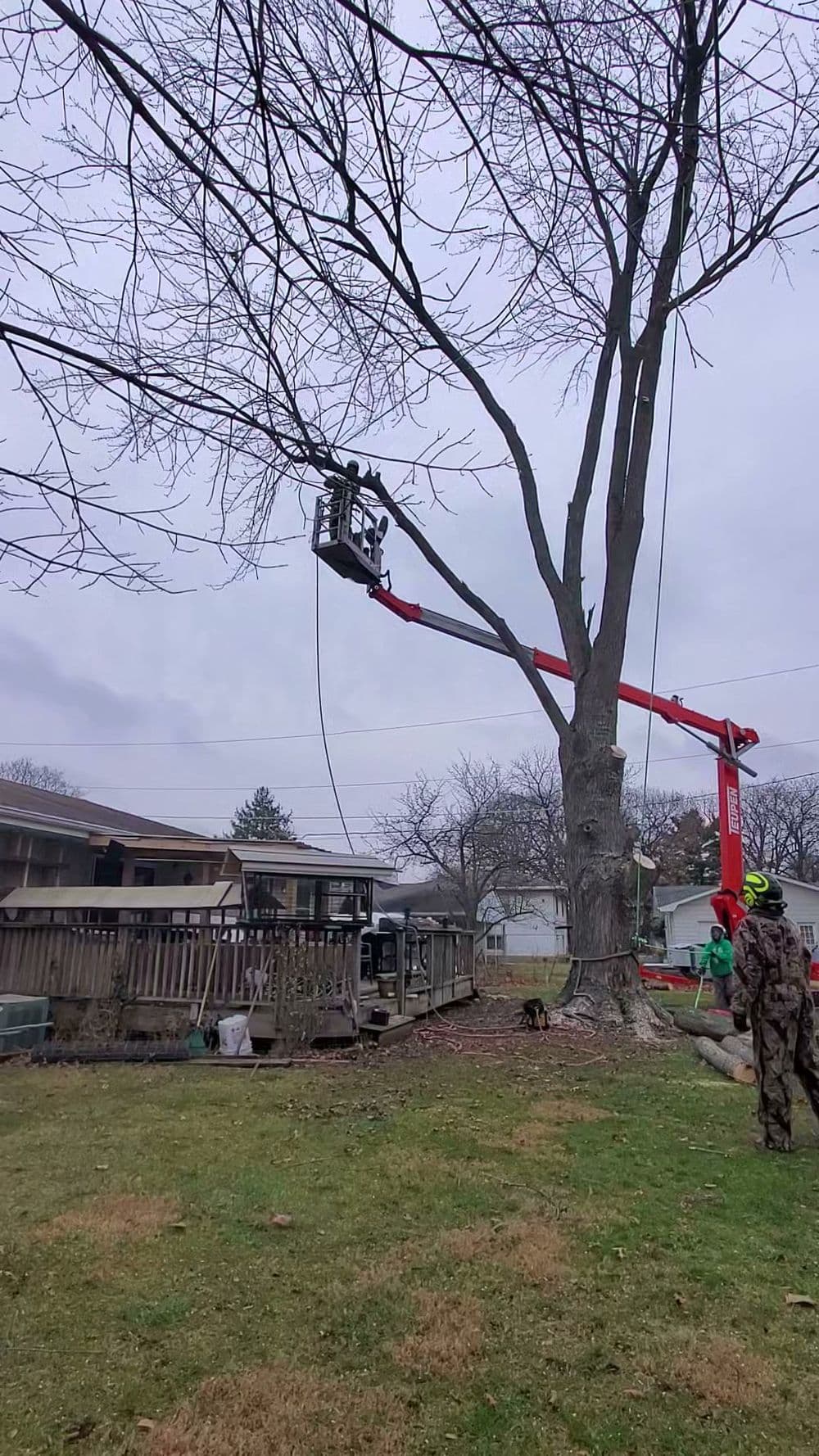 Tree trimming in progress using a cherry picker in a residential backyard on a cloudy day.
