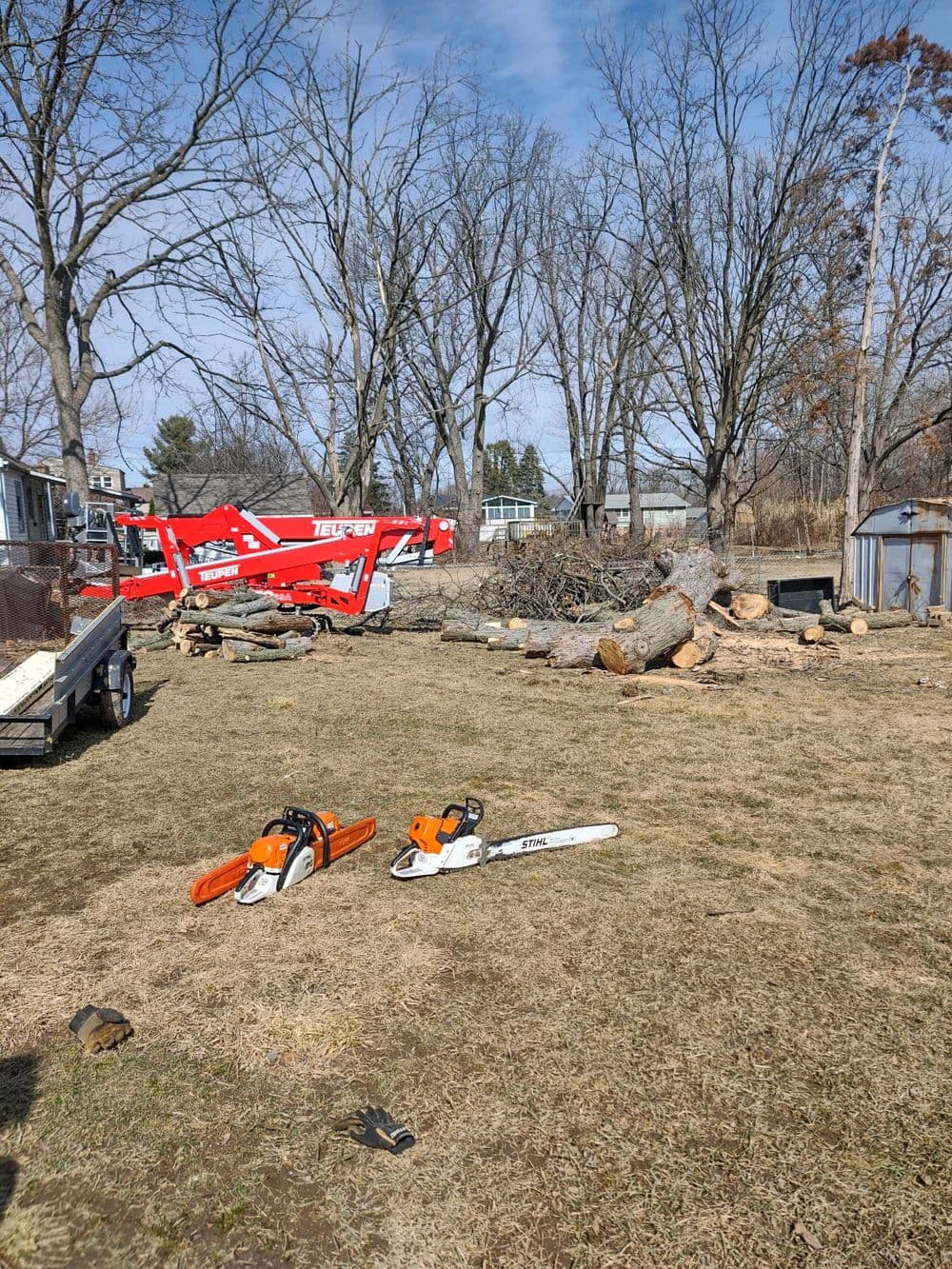 Log removal equipment and chainsaws in a yard with fallen tree logs and bare trees.