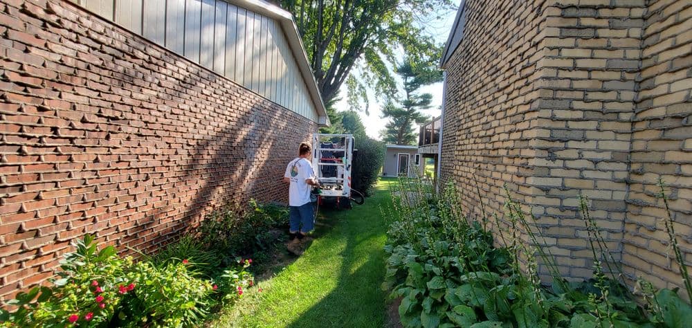 Person using a ladder for yard work between two brick buildings, surrounded by greenery.