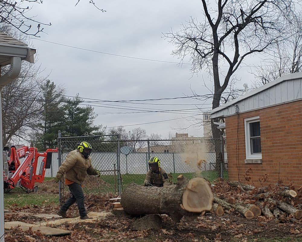 Tree removal workers cutting and removing a fallen log in a residential yard.