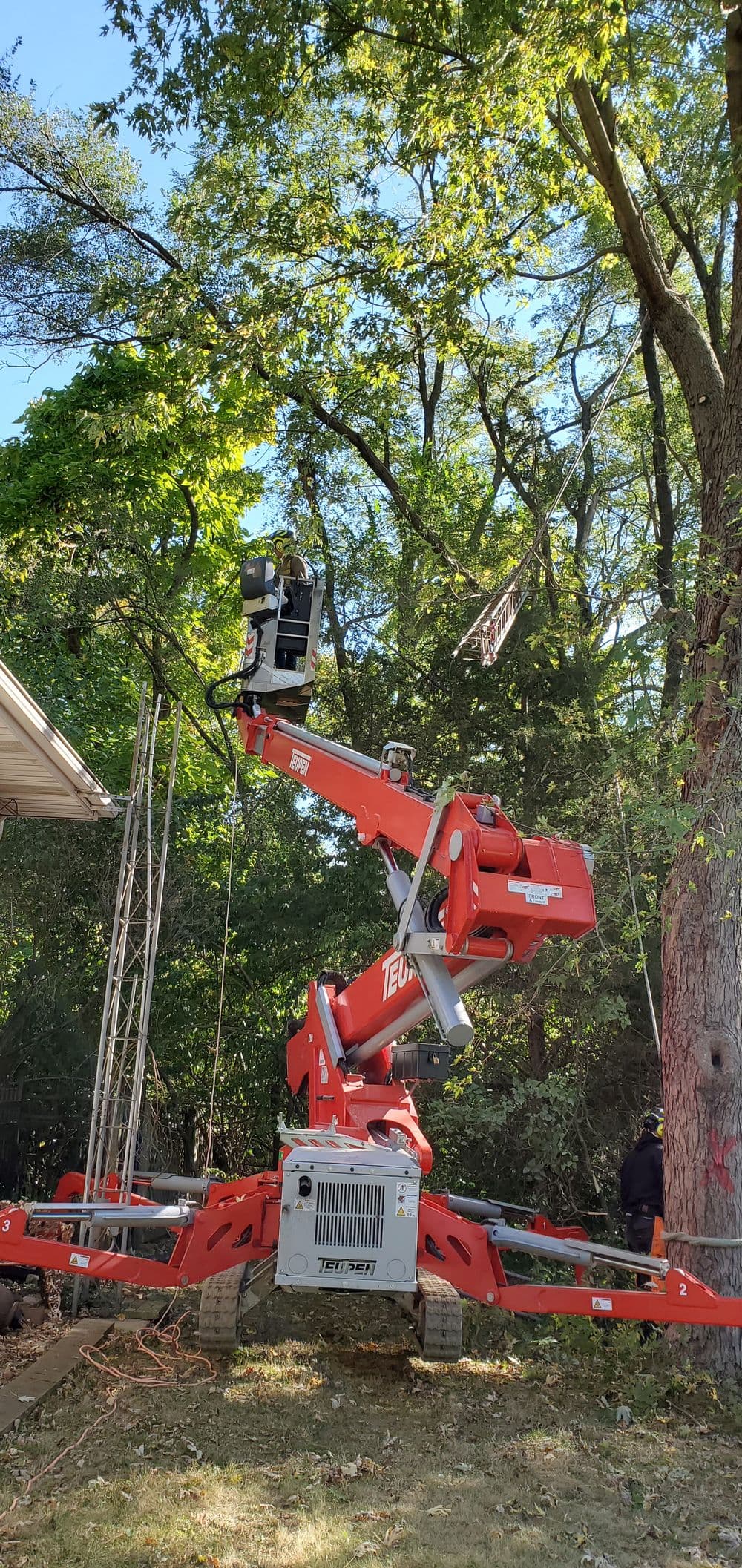 Tree trimming equipment on a red lift performing maintenance on tall trees in a wooded area.