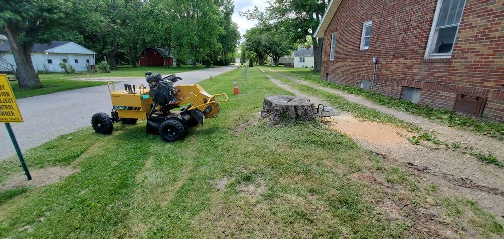 Stump grinder next to a tree stump, with wood chips scattered on the ground.