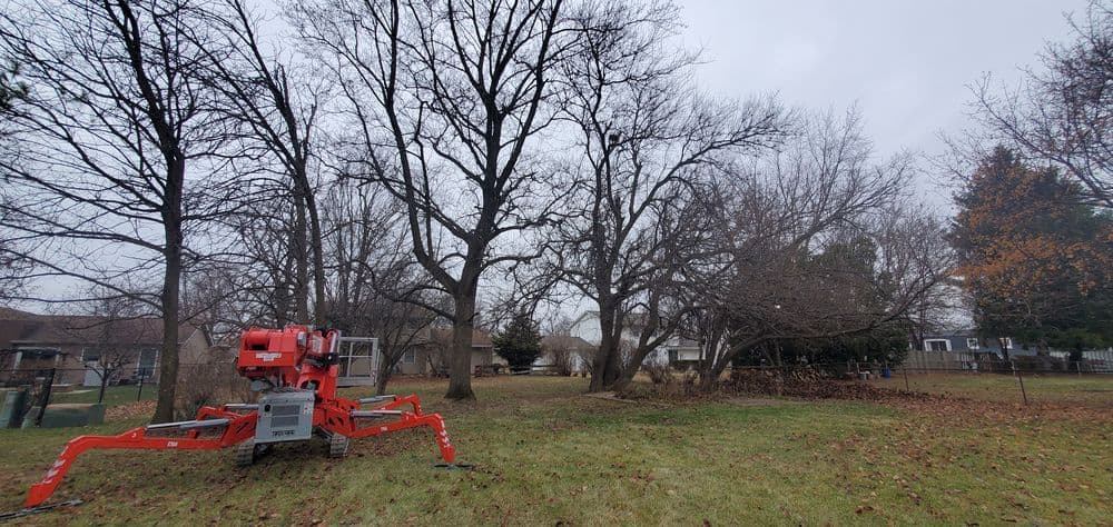 Red tree trimming equipment in a yard with bare trees and fallen leaves on a cloudy day.