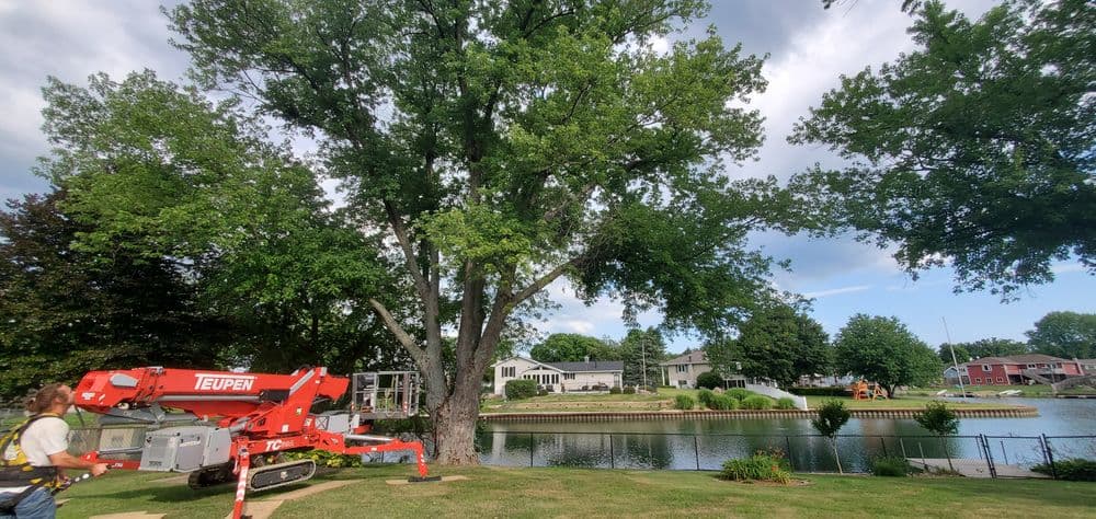 Tree maintenance using a Teupen lift near a calm lake with homes and greenery in the background.