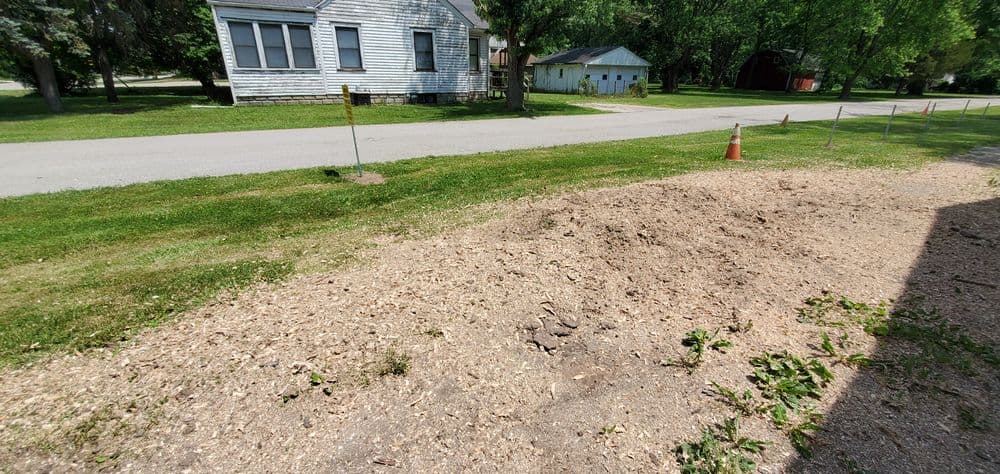 Cleared area with wood chips beside a residential street and nearby houses.