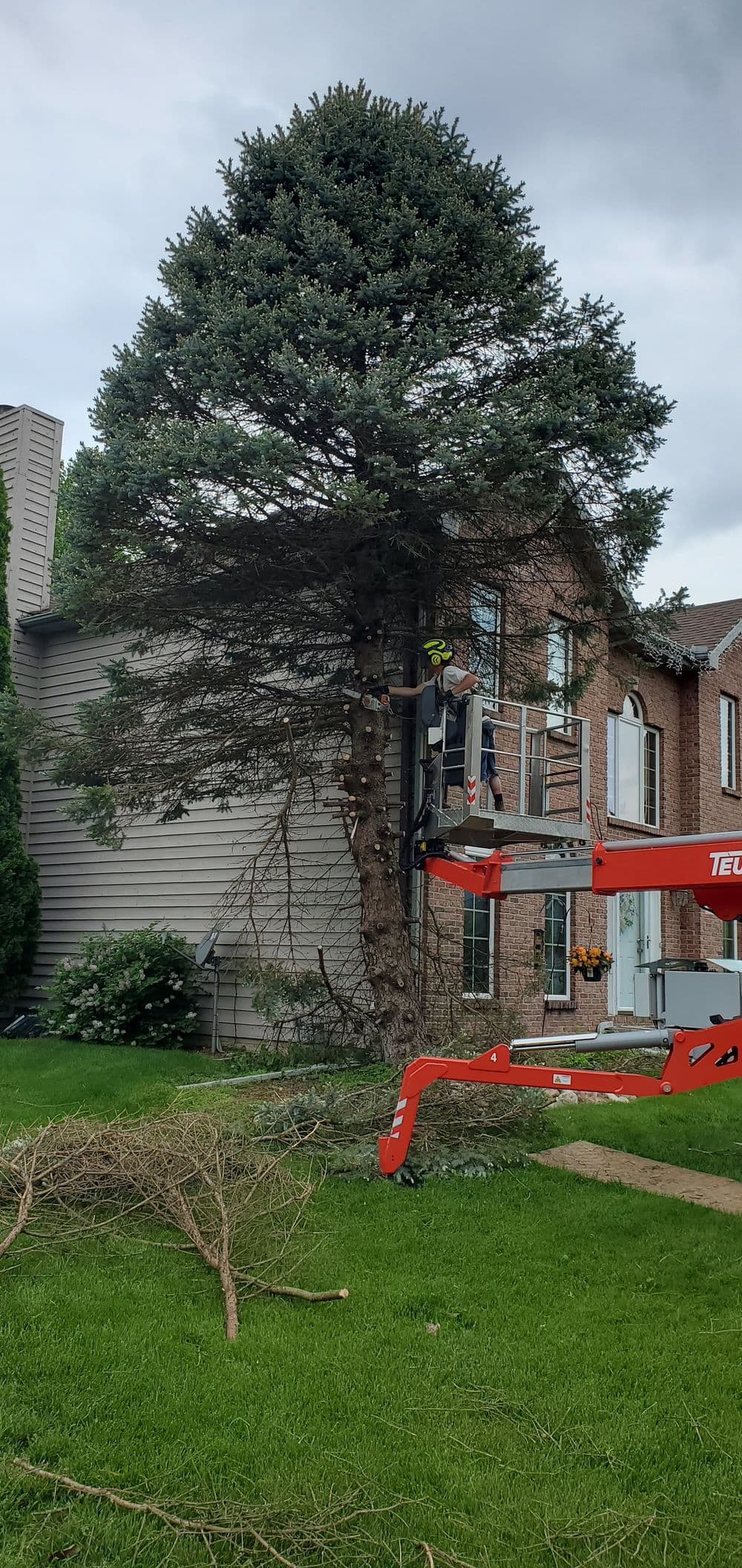 Worker using a cherry picker to trim a large tree next to a suburban home.