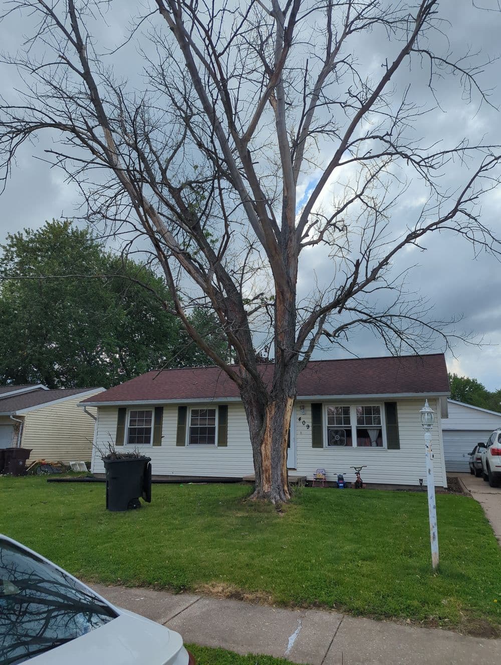 Bare tree in front of a single-story house with a green lawn and cloudy sky.