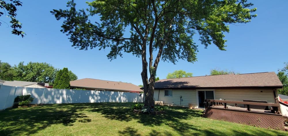 Spacious backyard with a large tree, grass, and a house under a clear blue sky.