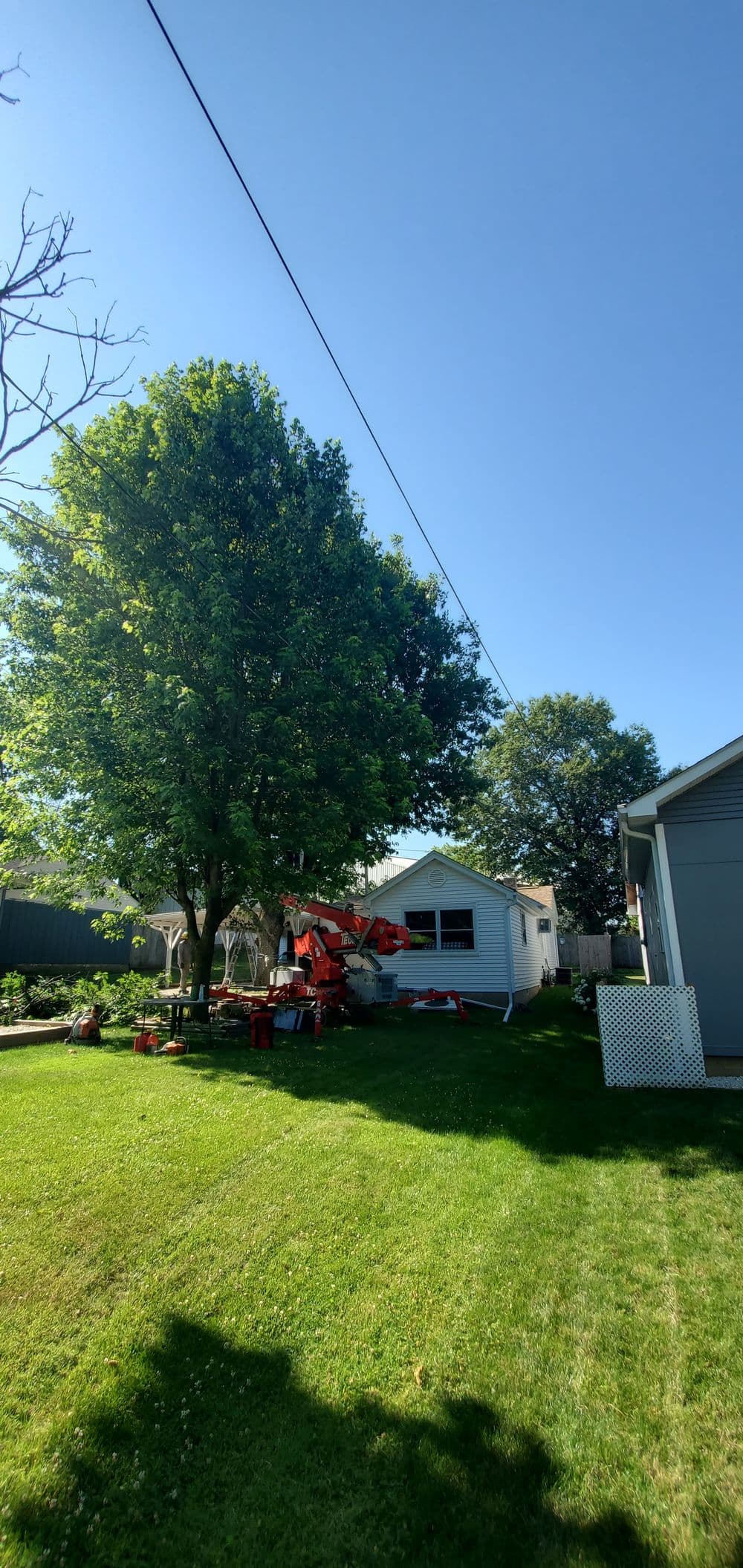 Lawn with neatly trimmed grass, a large tree, and a white house under clear blue sky.
