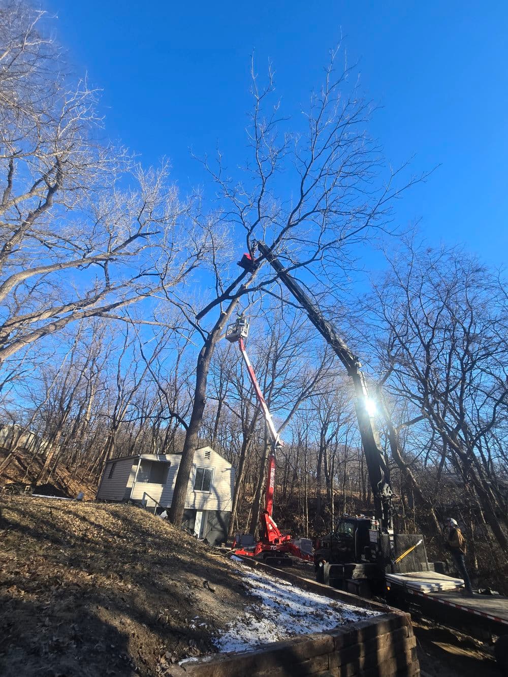 Tree removal operation with a lift and crane in a wooded area under a clear blue sky.