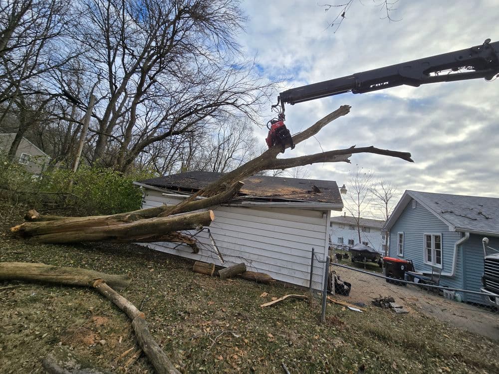 Tree branch being cut near a house using a crane on a cloudy day.