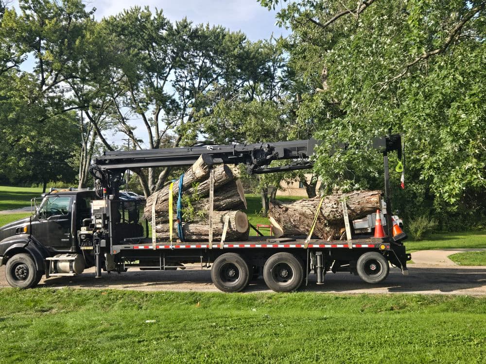 Truck transporting large logs, secured with straps, on a grassy roadside.