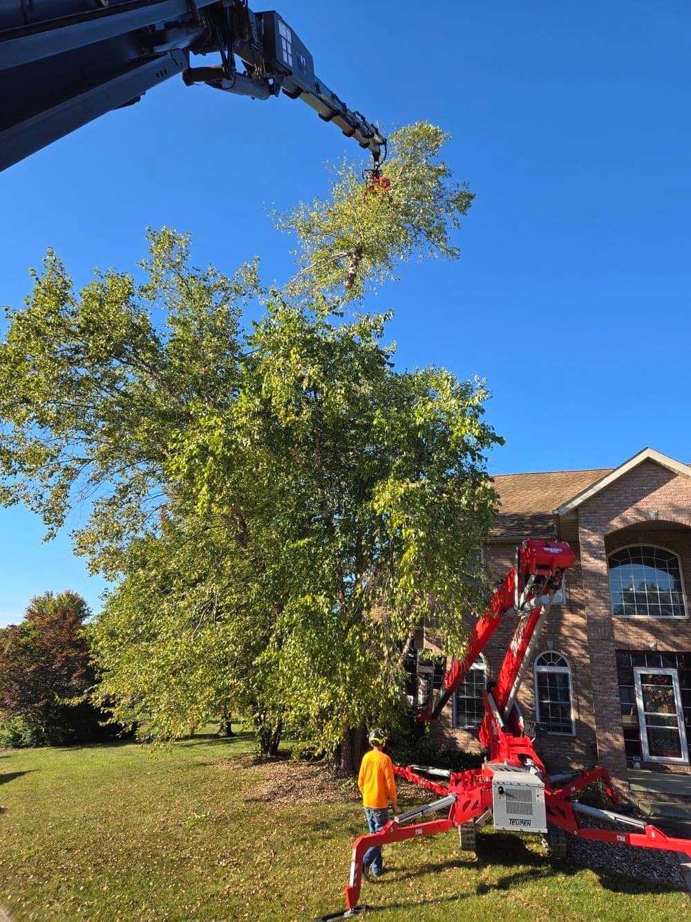 Tree trimming in progress with a crane and operator near a brick building on a sunny day.