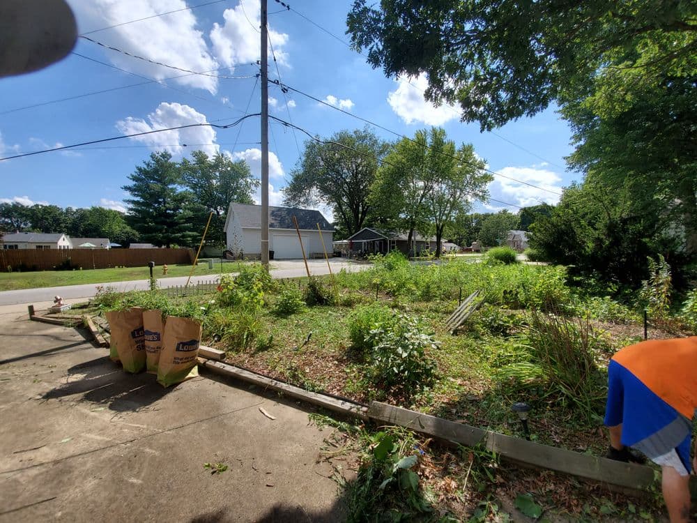 Sunny garden scene with overgrown plants, tools, and a person working in the foreground.