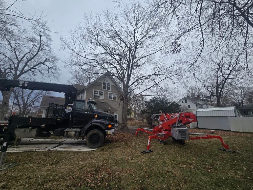 Aerial lift near a house with bare trees and overcast sky, ready for tree maintenance work.