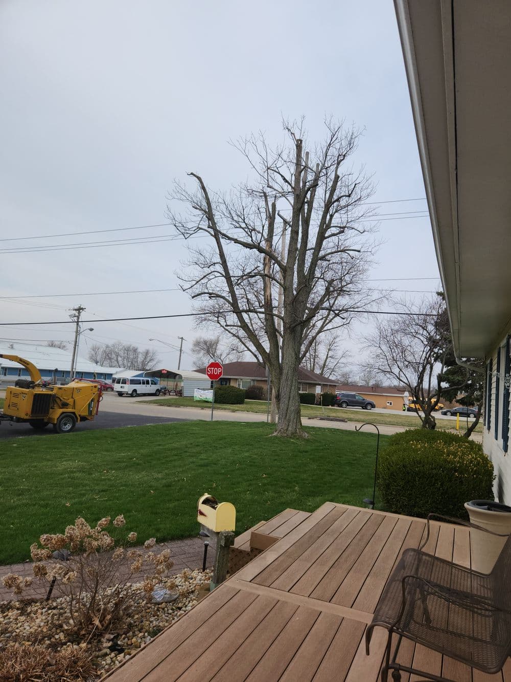 View from a porch showing a tree with branches cut, a stop sign, and a road.