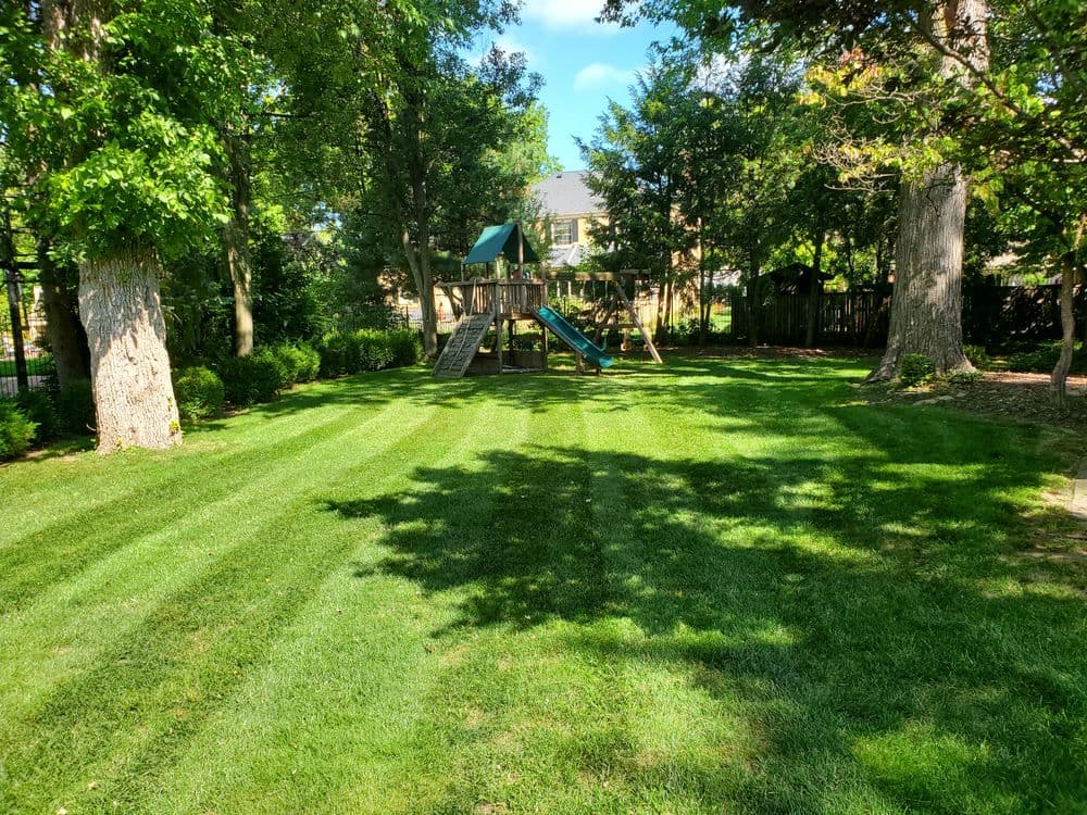 Playground with slide and swings in a lush, green backyard on a sunny day.