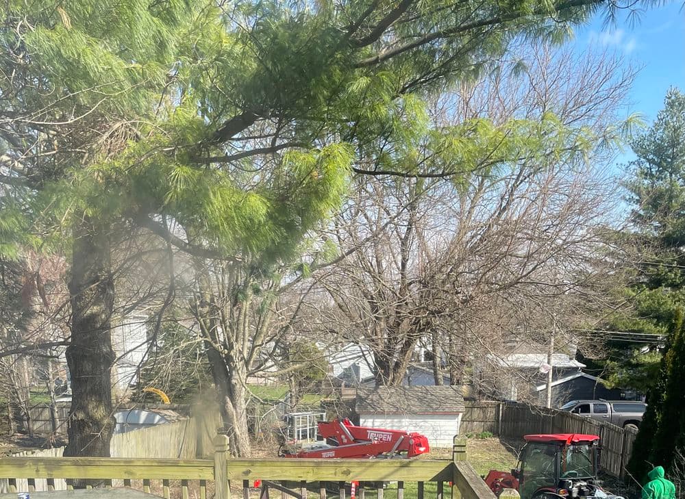 Red tractor parked in backyard with bare trees and a shed in the background.