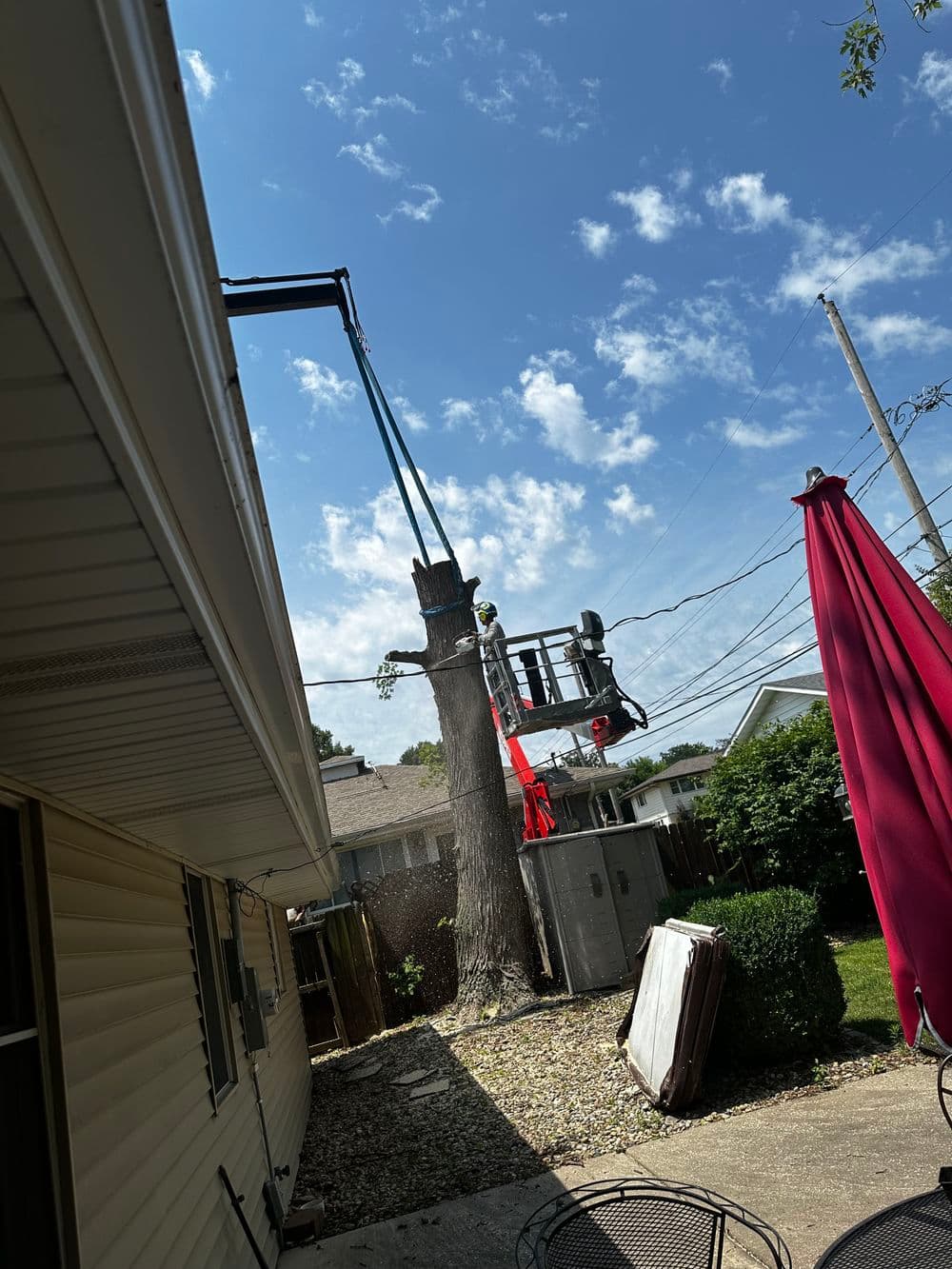 Tree trimming service using a lift near a house on a sunny day with blue skies.