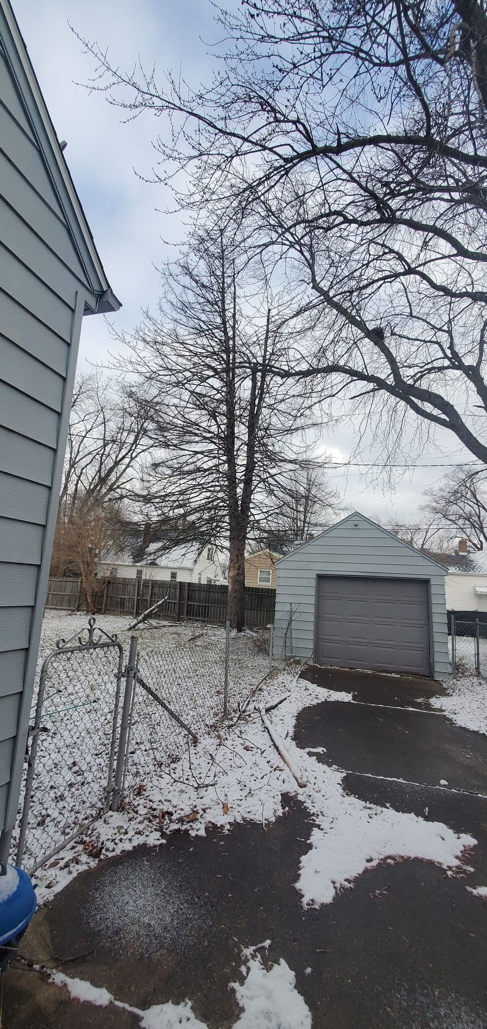 Snow-covered backyard with a fence, a tree, and a garage under a cloudy sky.