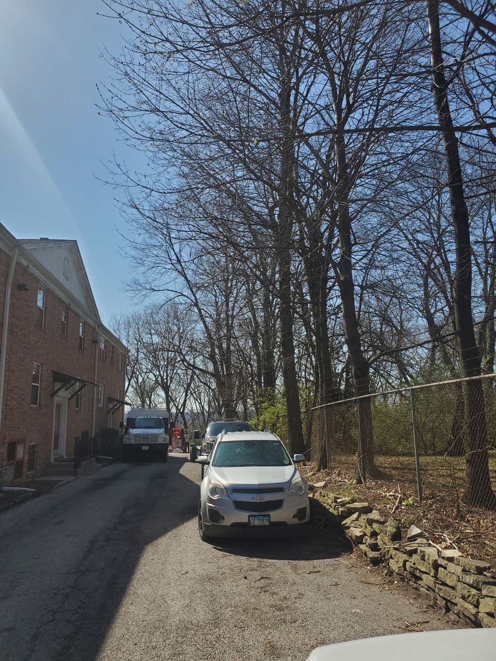 Narrow driveway with parked cars and leafless trees against a clear blue sky.