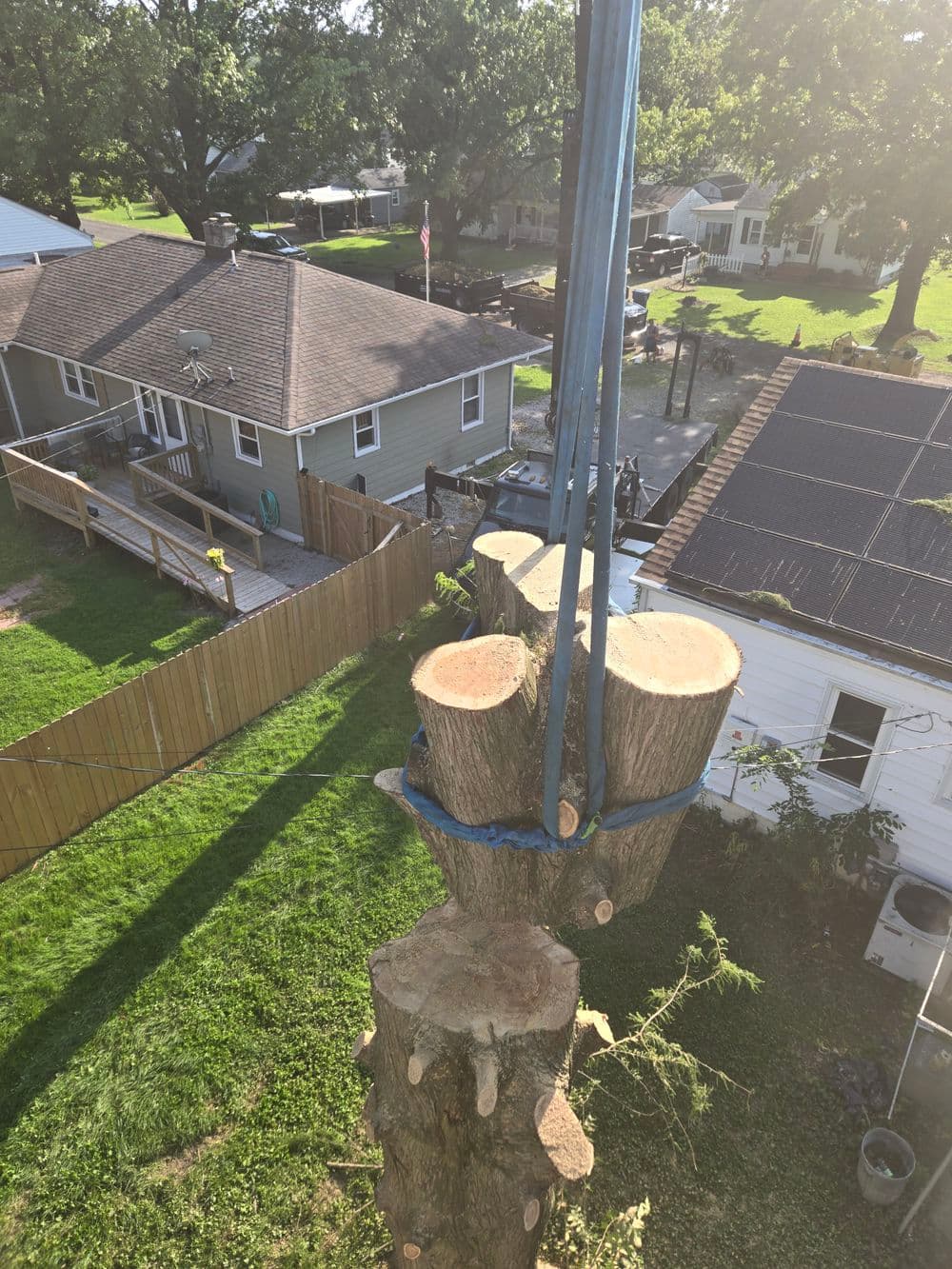 Tree removal process showing cut trunk sections suspended by a crane over a residential yard.