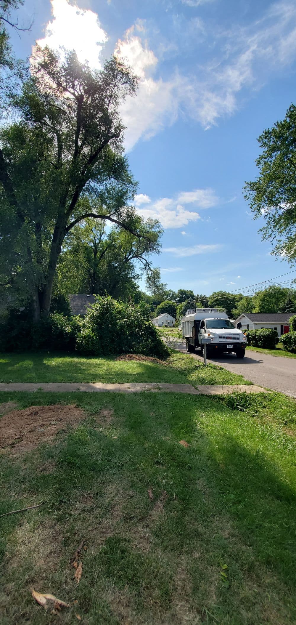 Tree maintenance truck near trimmed trees on a sunny residential street.
