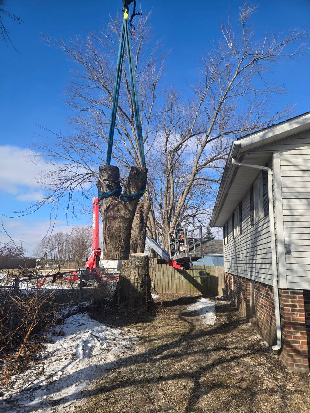 Tree removal in progress with a crane beside a residential house on a sunny day.
