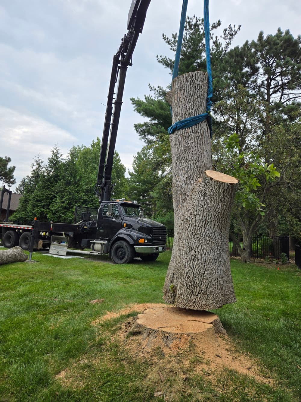 Tree removal in progress with a crane lifting a large tree trunk in a residential yard.